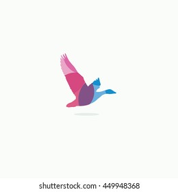 Duck logo, colorful bird vector