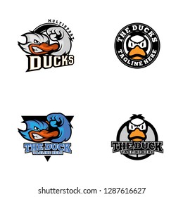 Duck Logo Design