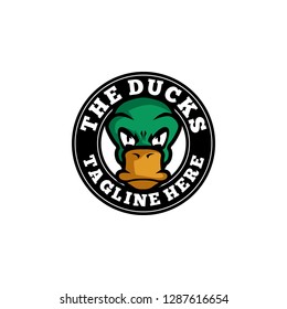 Duck Logo Design