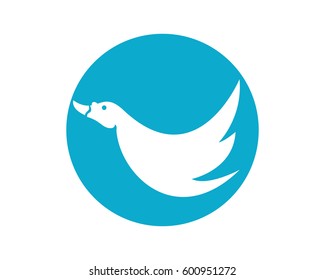 Duck logo template