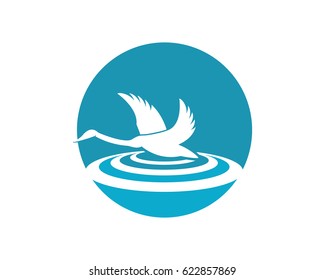 Duck logo template