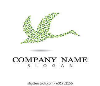 Duck logo template