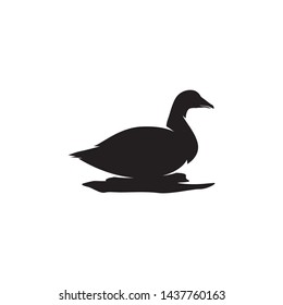 Duck logo template. Duck vector illustration