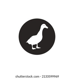 Duck logo vector illustration  design template