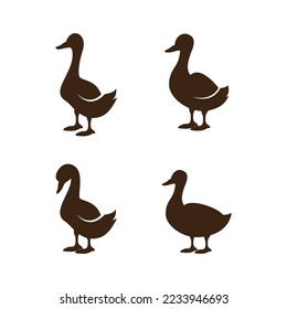 Duck logo vector ilustration icon flat design template