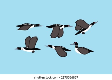 duck loon bird design vector flat modern illustration