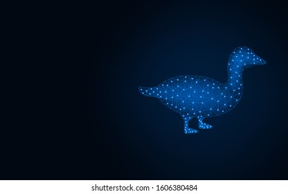 Duck low poly design, rural poultry wireframe mesh polygonal vector illustration made from points and lines on dark blue background