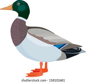 Duck made in the technique of vector