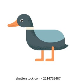 Duck mallard geometric style with orange beak. Vector wild animal geometric style on white background cute drawing