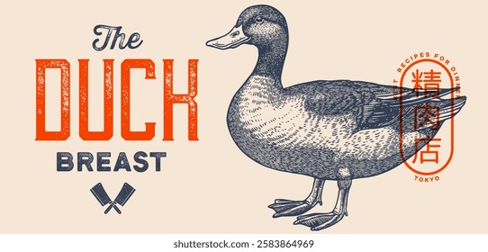 Duck, mallard sketch. Hand drawn sketch. Meat tag, food label template. Vintage retro print, black white Duck, mallard drake drawing. Silhouette duck, mallard drake. Vector Illustration