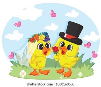 Duck marriage between two whole dressed ducks. Graphic element for valentine card.