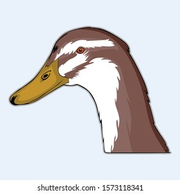 duck mascot logo design vector