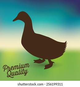 duck meat design, vector illustration eps10 graphic 
