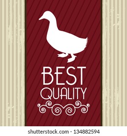 duck meat over beige background. vector illustration