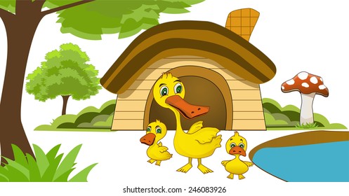 Duck and nature