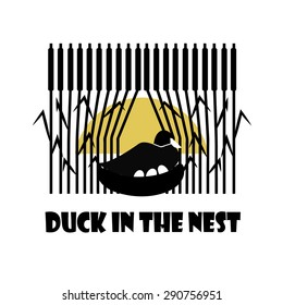Duck in the nest
