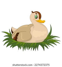 duck in the nest cartoon isolated on white background