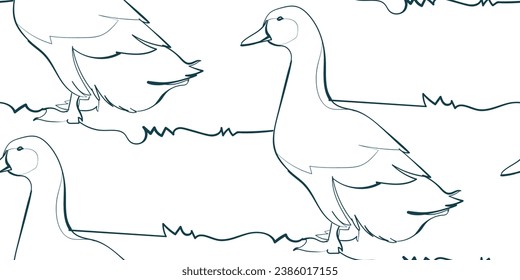 pato sobre el pájaro césped naturaleza fauna silvestre artística de entrada sin costura vector de una línea patrón mano dibujado 