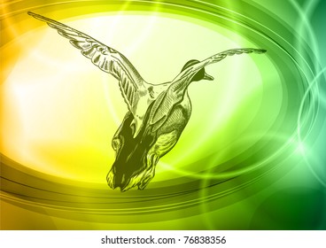 duck on the green background