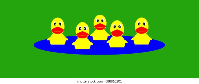duck on the lake