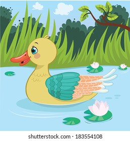 Duck on the pond