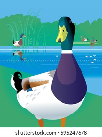 Duck on a pond vector