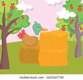 duck on stack hay fruits trees farm animal cartoon vector illustration