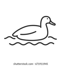 Duck on the water
