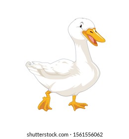 duck on a white background
