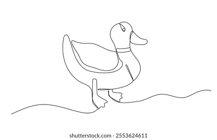 Duck one continuous line illustration. Hand drawn doodle sketch of farm bird on white background