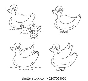 Duck outline icon set. eps.10
