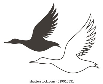 Duck outline and silhouette. Isolated duck on white background