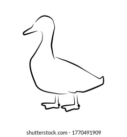 Duck Outline Simple Icon Farm Water Stock Vector (Royalty Free) 1770491909