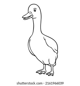 duck outline vector illustration,isolated on white background,top view