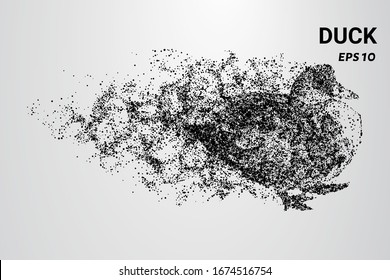 Duck of the particles. The duck consists of circles and dots. The duck splits into molecules.