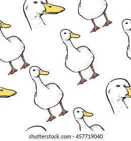 Duck pattern including seamless on white background. Hand drawn Duck vector. Duck with clipping path.