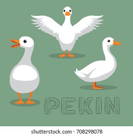 Duck Pekin Cartoon Vector Illustration