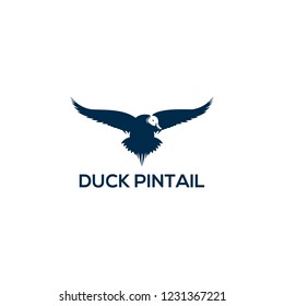 duck pintail logo vector