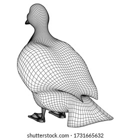 Duck polygonal lines illustration. Abstract vector duck on the white background