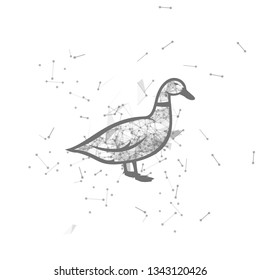 duck.  Polygonal wireframe duck silhouette. low poly vector illustrations on background of points and lines.