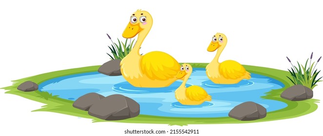 Duck in the pond on white background illustration