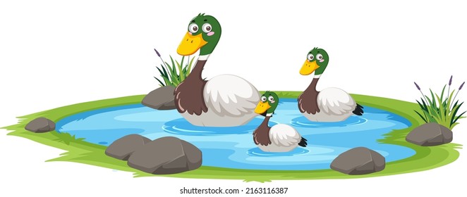 Duck in the pond on white background illustration