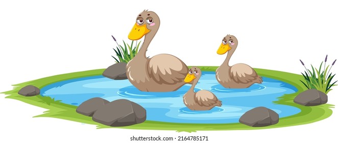 Pato en el estanque sobre la ilustración de fondo blanco