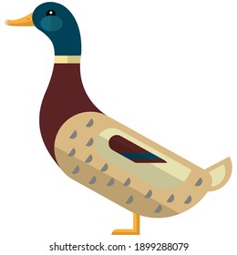 Duck poultry bird icon, flat vector illustration isolated on white background. Farm bird. Domestic fowls.