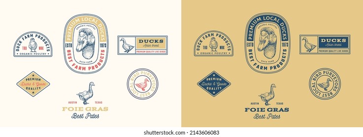 Duck Poultry Farm Retro Framed Badges and Logo Templates Collection. Hand Drawn Goose Face and Birds Illustrations with Retro Typography. Vintage Engraving Style Emblems Set. Isolated