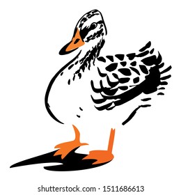 Duck quick ink sketch, vector graphics