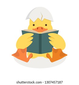 Duck Reading A Book with Broken egg shell 