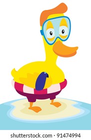 Duck Ready to Swim
