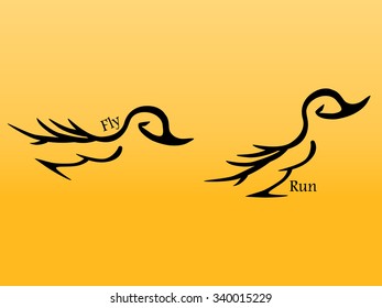 duck run and fly