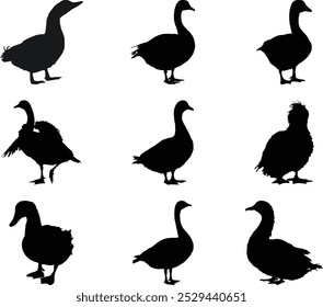 Duck Set Bundle black and white silhouette and icon vector illustration